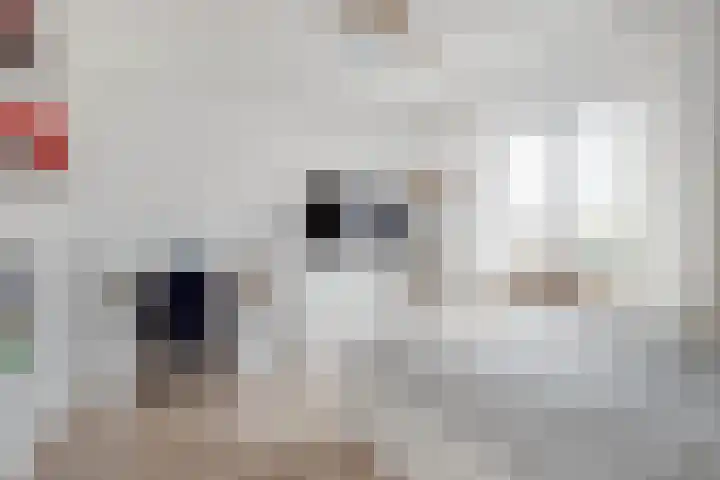 Graetheidelaan 9 Urmond thumbnail 22