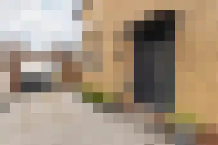 Graetheidelaan 9 Urmond thumbnail 8