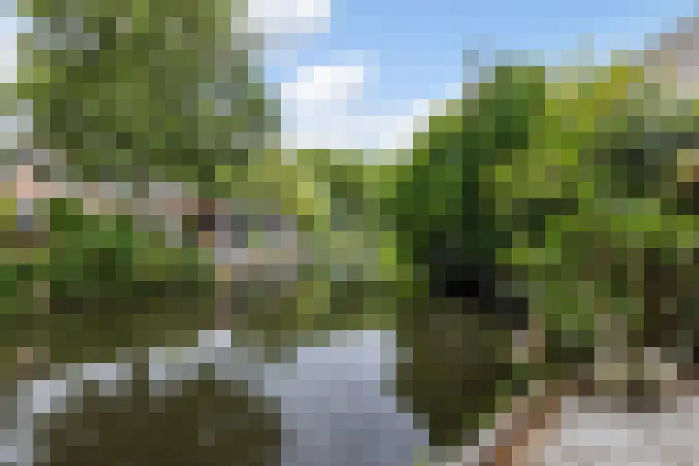Grafelijkheidsweg 64 Dordrecht thumbnail 18