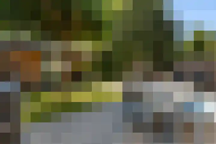 Grafelijkheidsweg 66 Dordrecht thumbnail 30