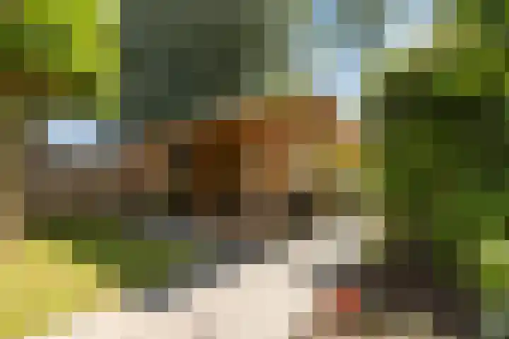 Grafelijkheidsweg 66 Dordrecht thumbnail 32