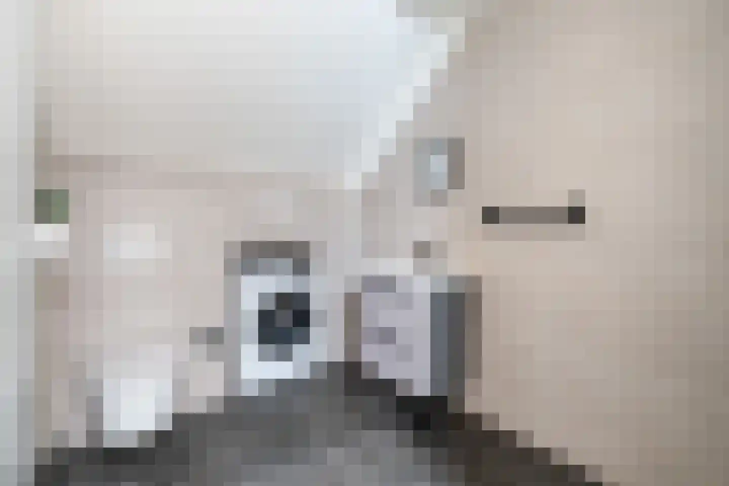 Grafiek 125 Capelle aan den IJssel thumbnail 37
