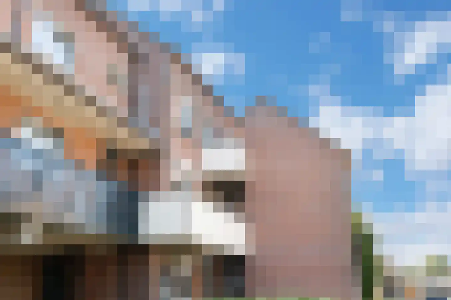 Grafiek 125 Capelle aan den IJssel thumbnail 46