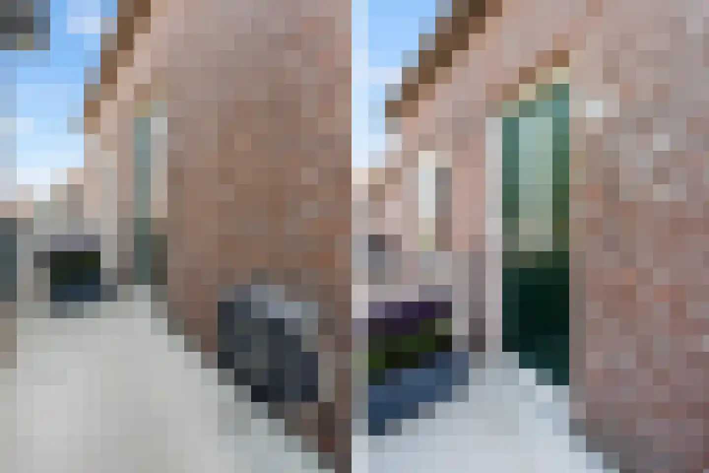 Grafiek 125 Capelle aan den IJssel thumbnail 5