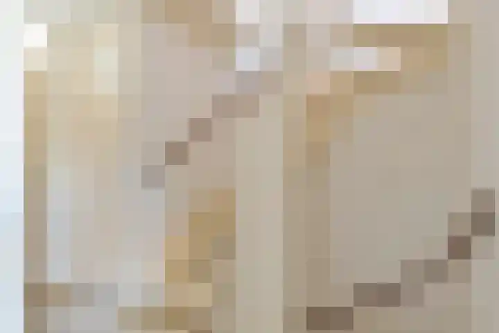 Grafiek 91 Capelle aan den IJssel thumbnail 16