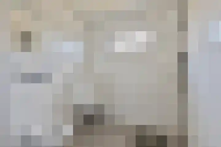 Grafiek 91 Capelle aan den IJssel thumbnail 19