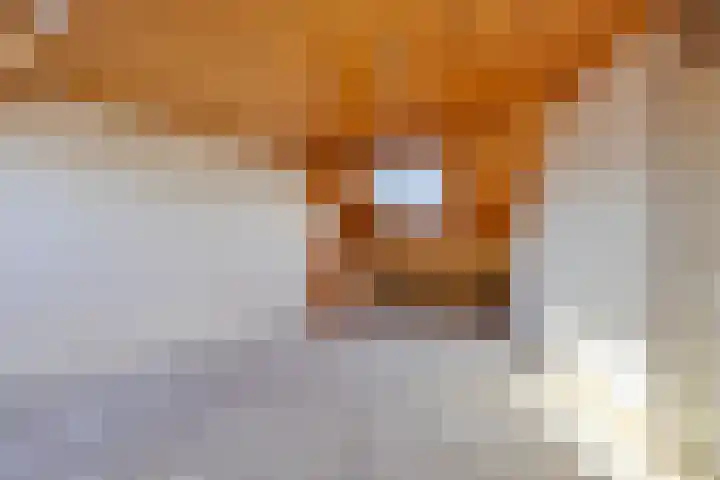 Grafiek 91 Capelle aan den IJssel thumbnail 25