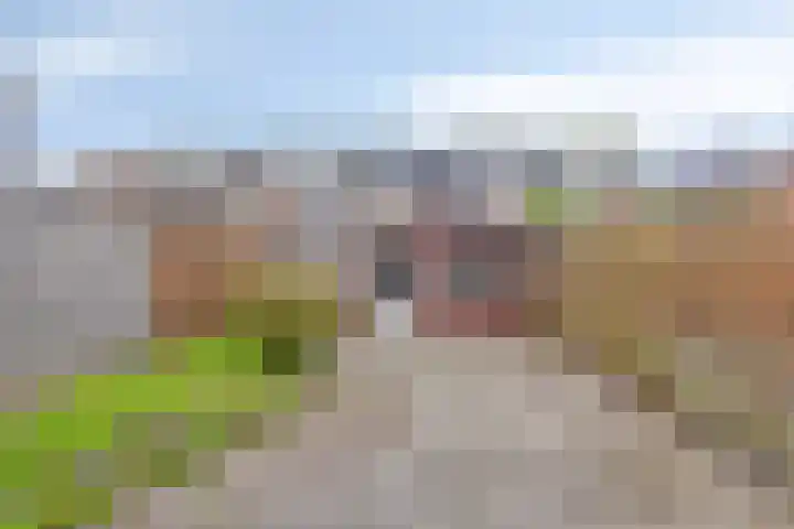 Grafiek 91 Capelle aan den IJssel thumbnail 26