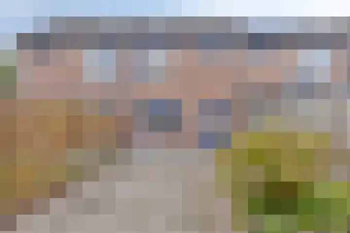 Grafiek 91 Capelle aan den IJssel thumbnail 4