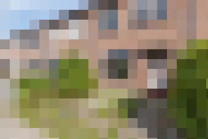 Grafiek 91 Capelle aan den IJssel thumbnail 5