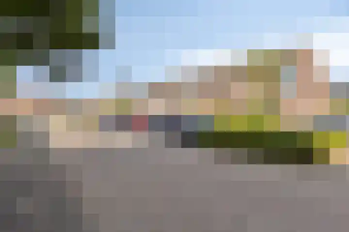 Grafiek 91 Capelle aan den IJssel thumbnail 8