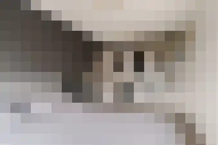 Grafiek 99 Capelle aan den IJssel thumbnail 12