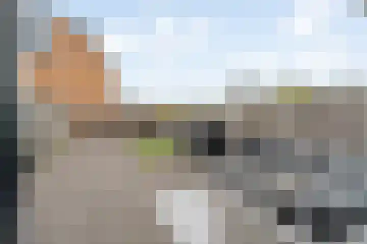 Grafiek 99 Capelle aan den IJssel thumbnail 22