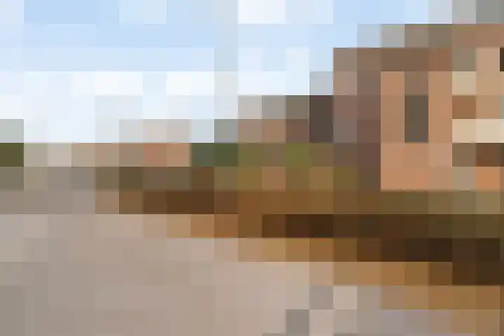 Grafiek 99 Capelle aan den IJssel thumbnail 28
