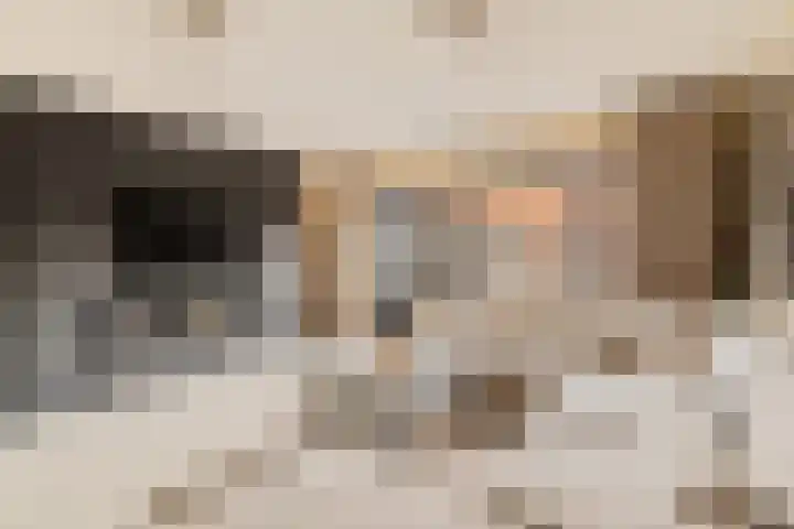 Grafiek 99 Capelle aan den IJssel thumbnail 4
