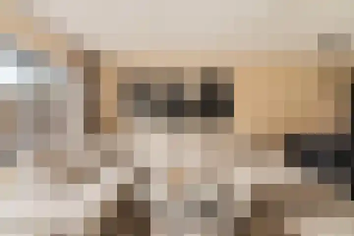 Grafiek 99 Capelle aan den IJssel thumbnail 8