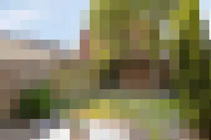 Graham Greenelaan 3 Eindhoven thumbnail 5