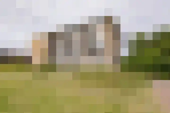 Grahamstraat 119 IJmuiden thumbnail 6