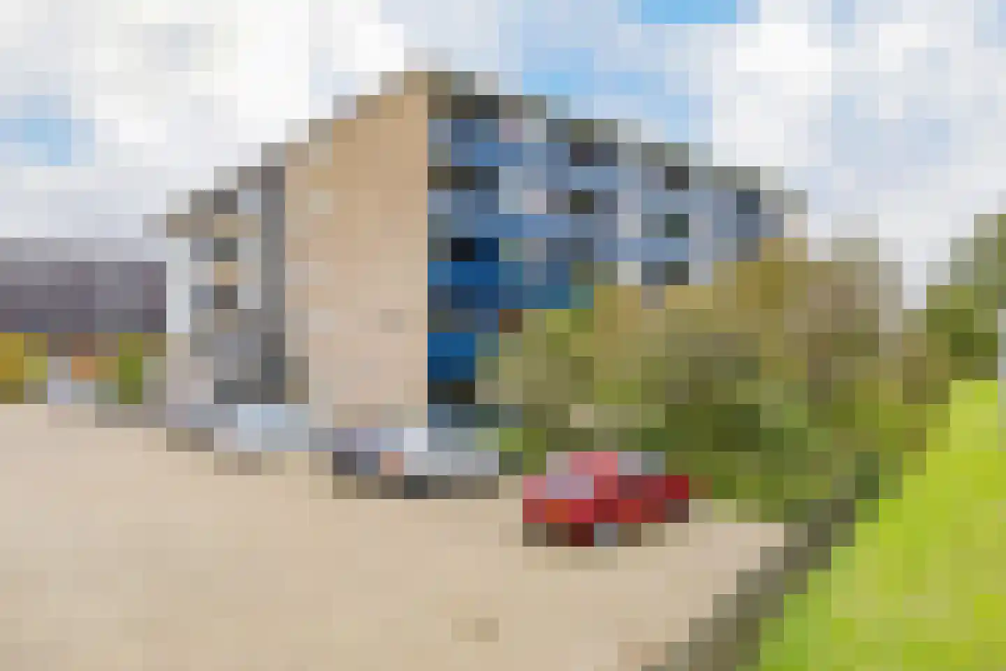 Grahamstraat 127 IJmuiden thumbnail 7