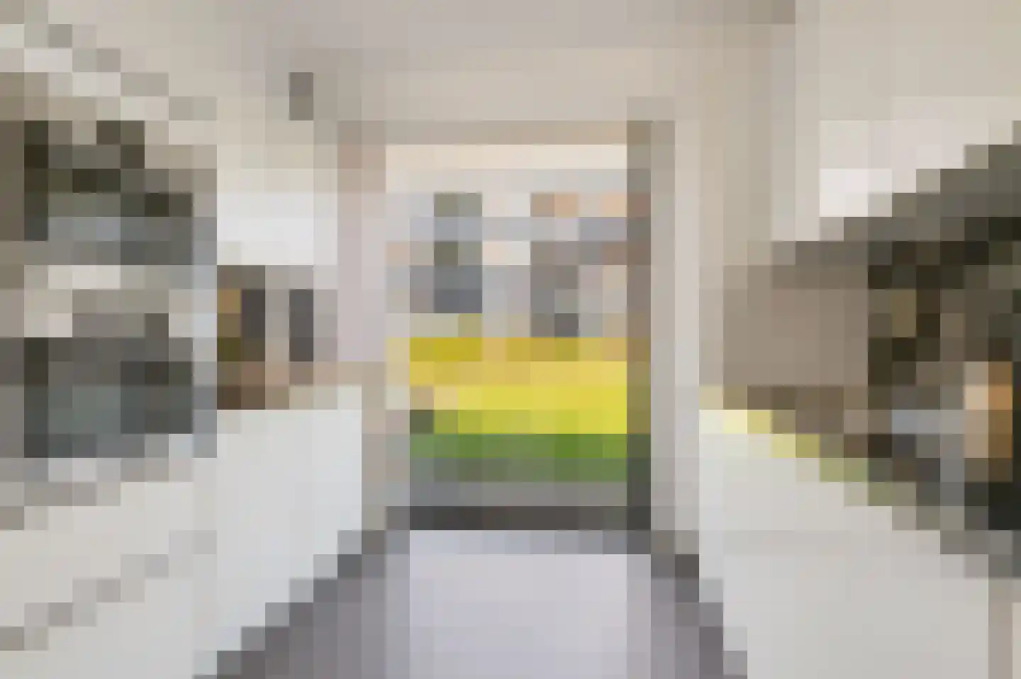 Grahamstraat 205 IJmuiden thumbnail 9