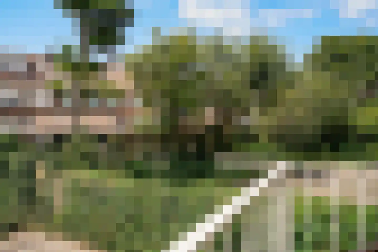 Grahamstraat 218 IJmuiden thumbnail 23