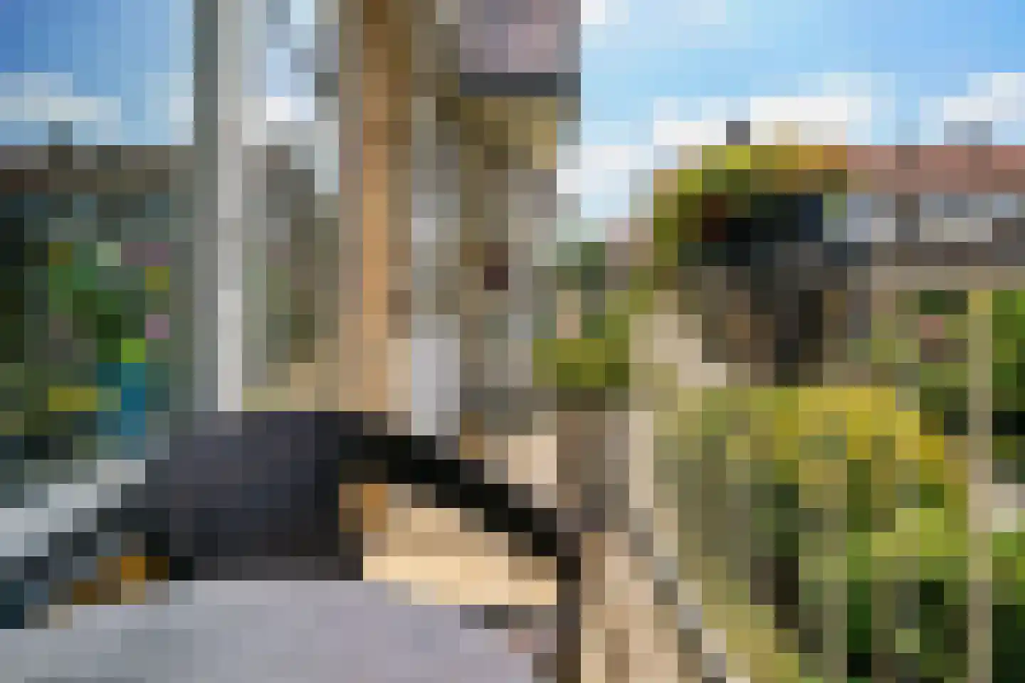 Grahamstraat 218 IJmuiden thumbnail 24