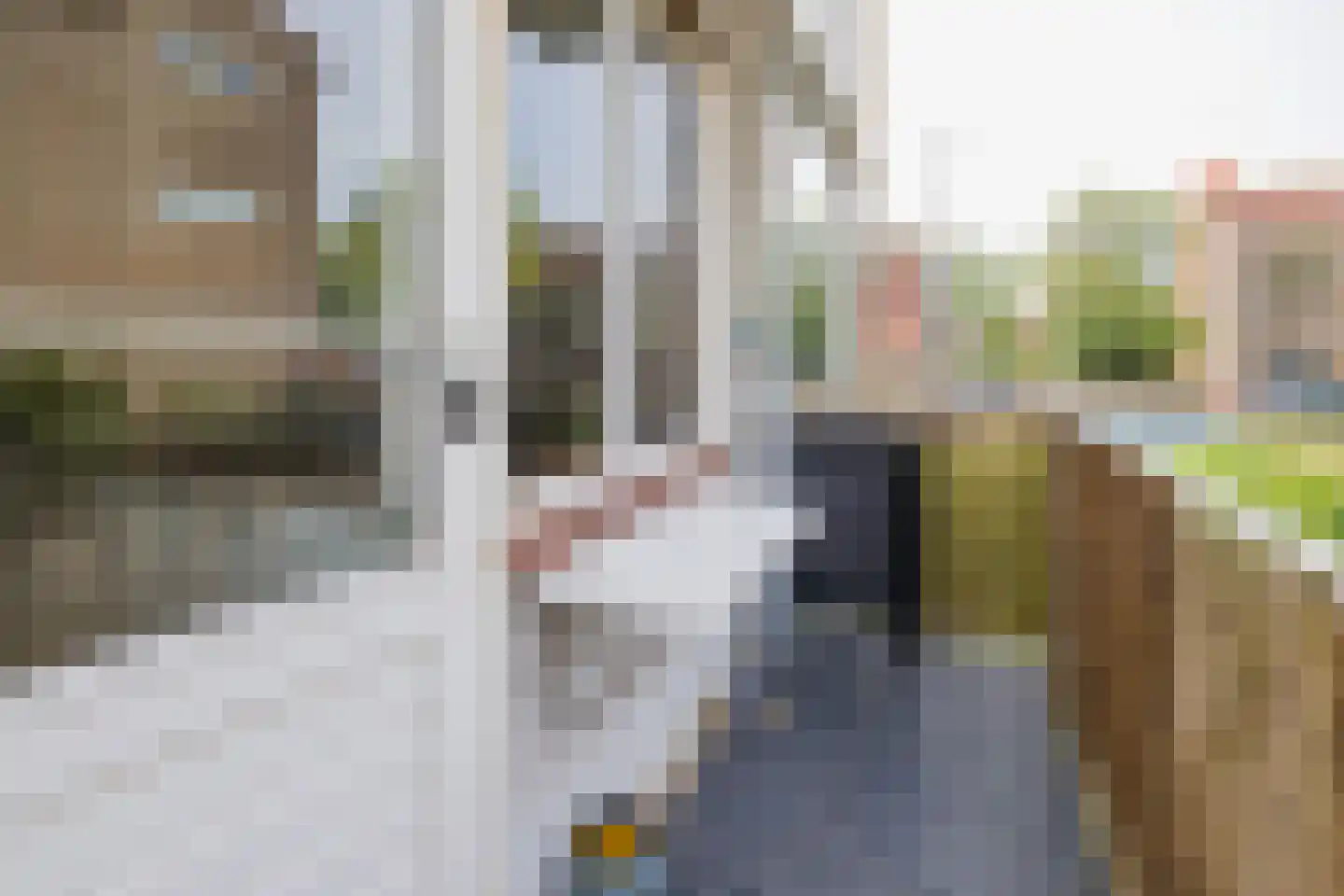 Grahamstraat 244 IJmuiden thumbnail 16