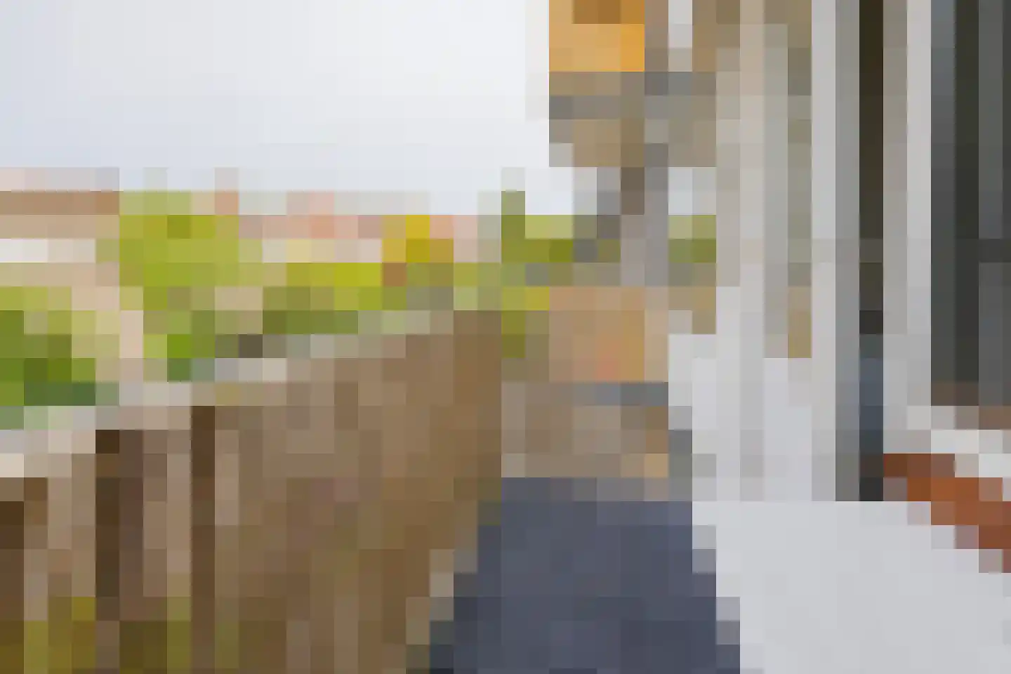 Grahamstraat 244 IJmuiden thumbnail 17