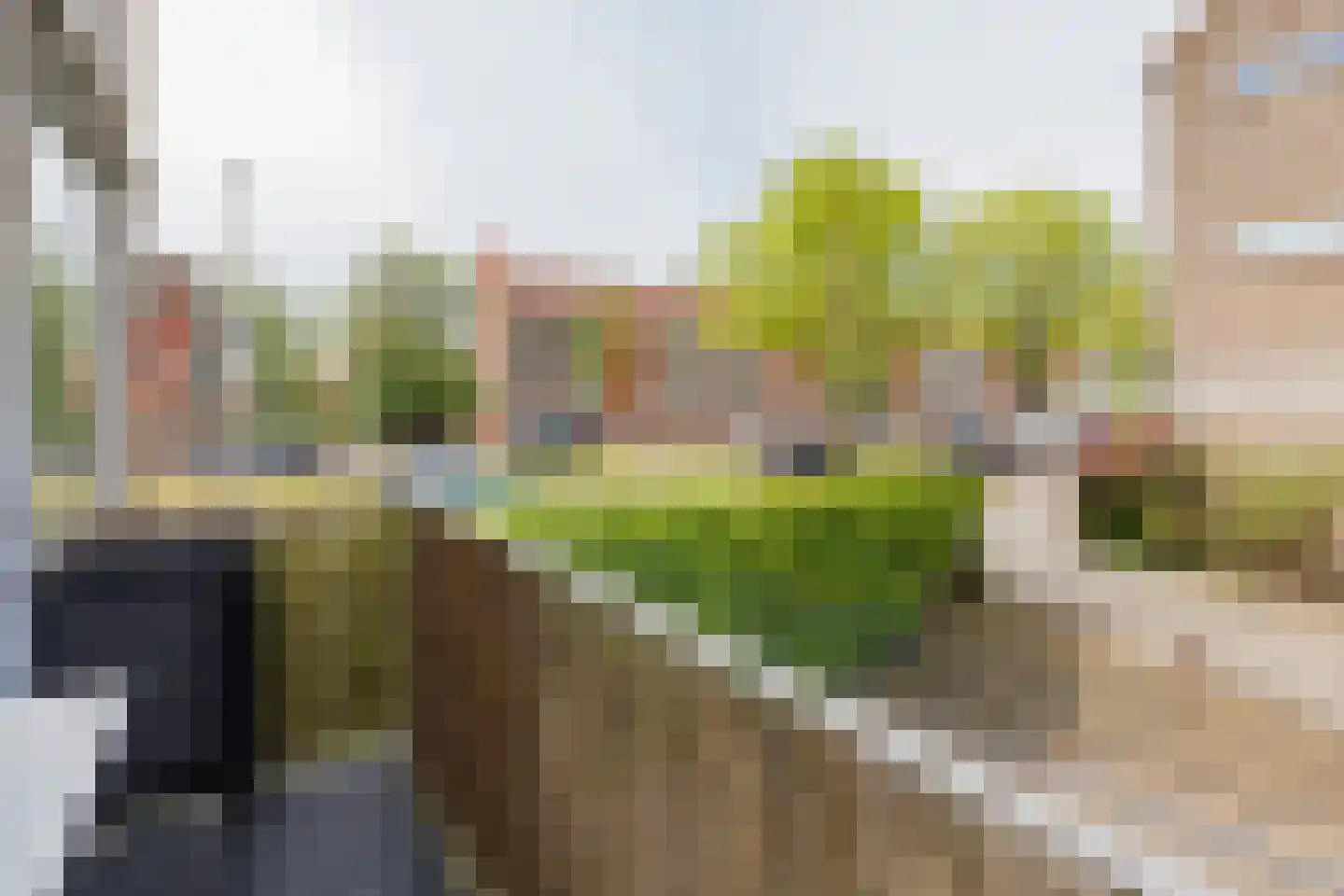 Grahamstraat 244 IJmuiden thumbnail 4