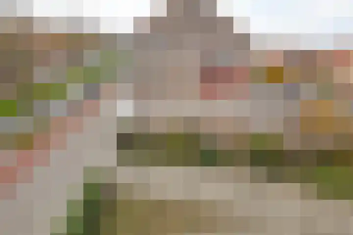 Grahamstraat 252 IJmuiden thumbnail 31
