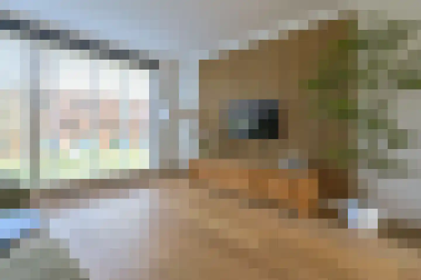 Grahamstraat 277 IJmuiden thumbnail 20
