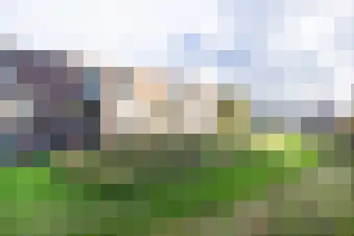Grahamstraat 297 IJmuiden thumbnail 44