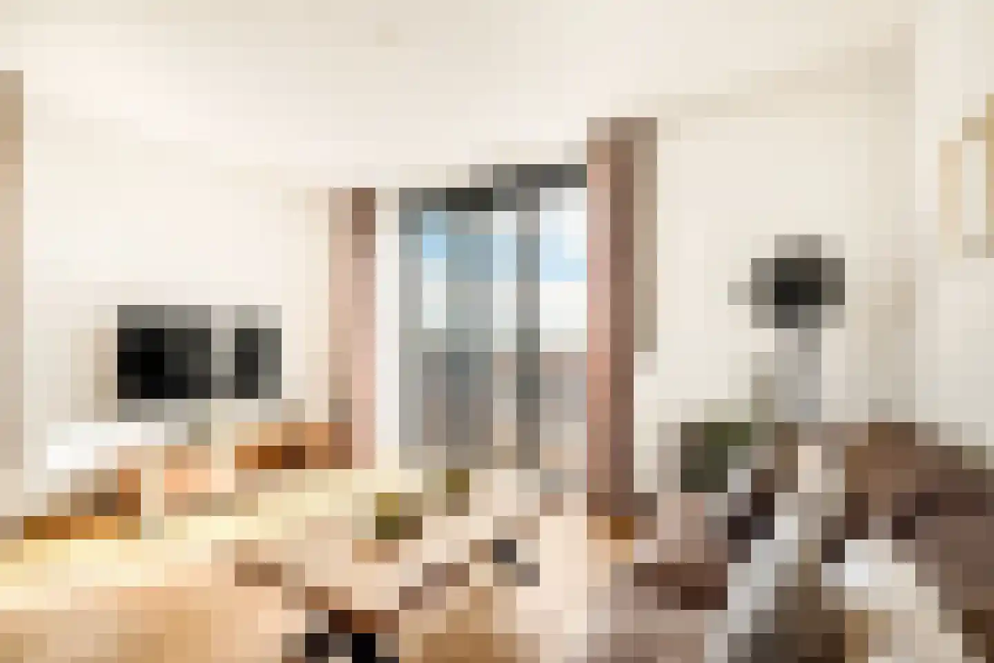 Grahamstraat 73 IJmuiden thumbnail 18