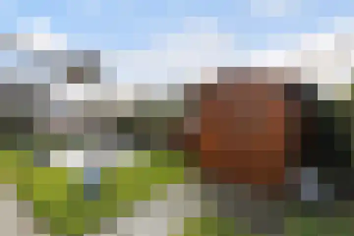 Gralda 5 K153 Menaam thumbnail 17