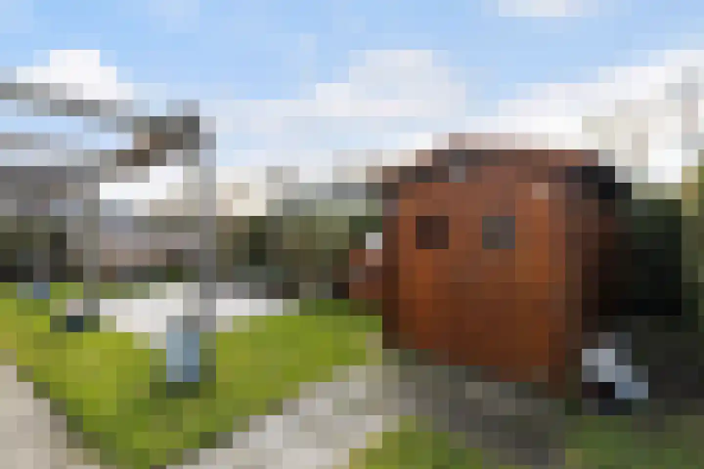 Gralda 5 K153 Menaam thumbnail 17