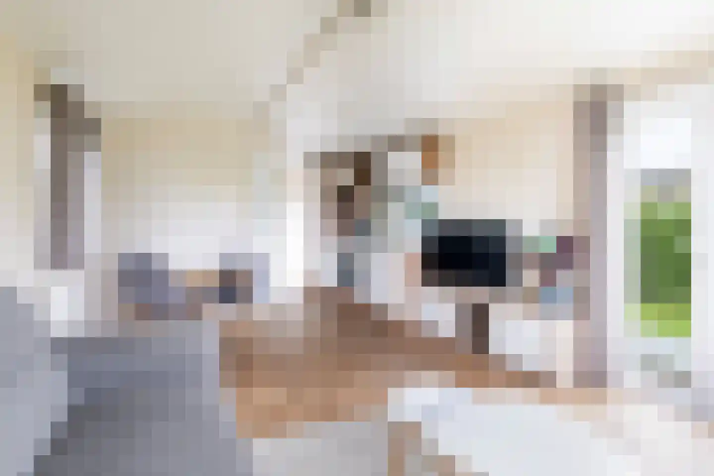 Gralda 5 K188 Menaam thumbnail 7