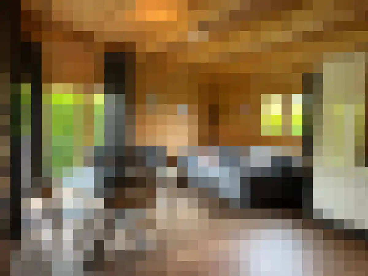 Gralda 5 Menaam thumbnail 6