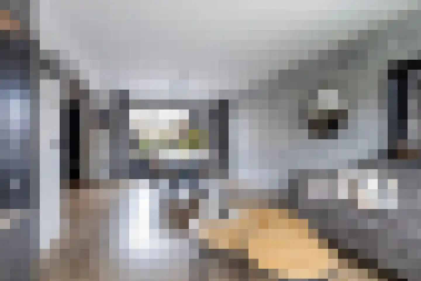 Graldasingel 6 Menaam thumbnail 14