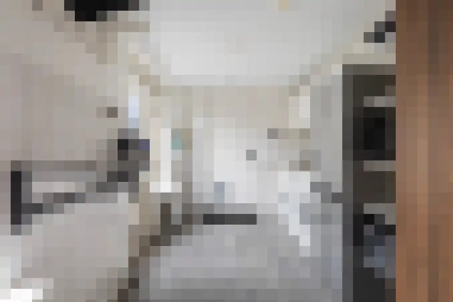 Graldasingel 6 Menaam thumbnail 19