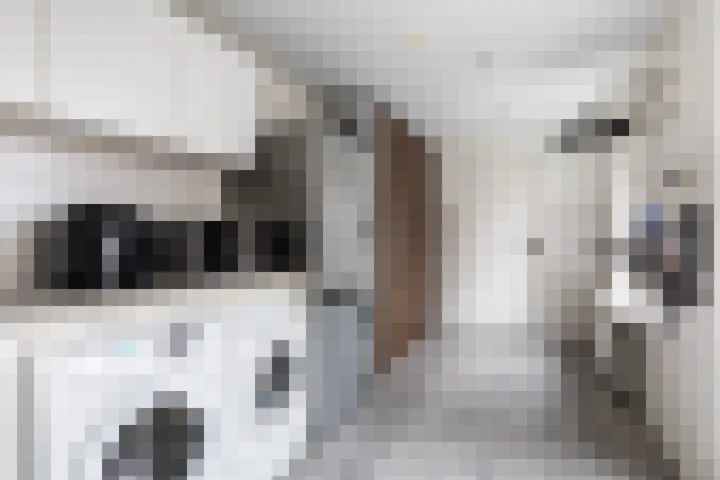 Graldasingel 6 Menaam thumbnail 20