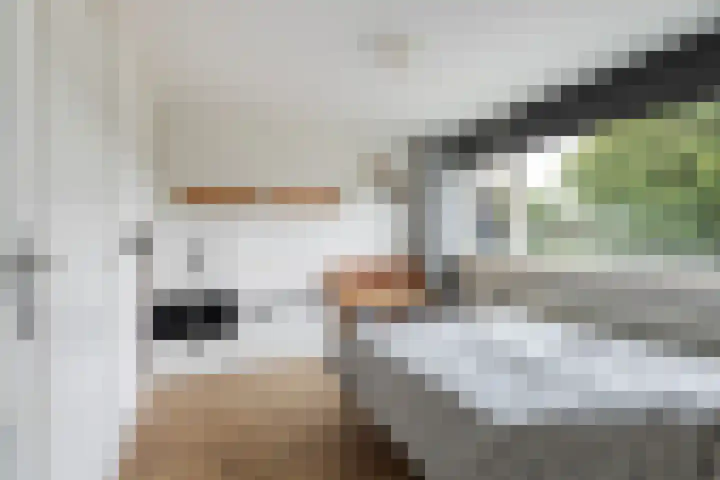 Graldasingel 6 Menaam thumbnail 32