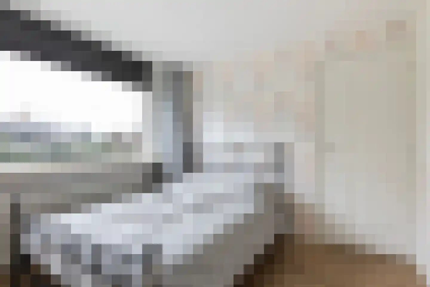 Graldasingel 6 Menaam thumbnail 33
