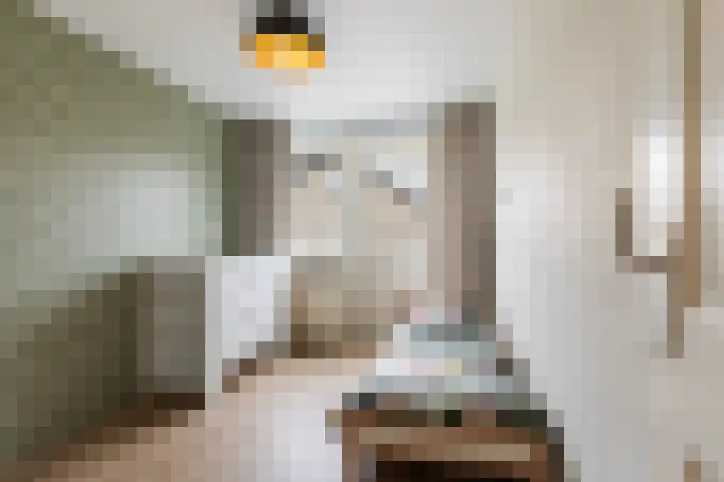 Graldasingel 6 Menaam thumbnail 35