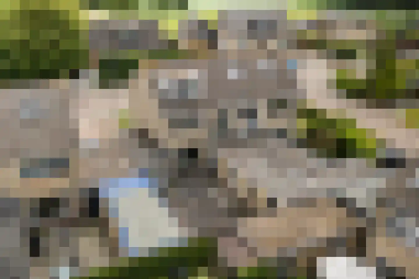 Graldasingel 6 Menaam thumbnail 40