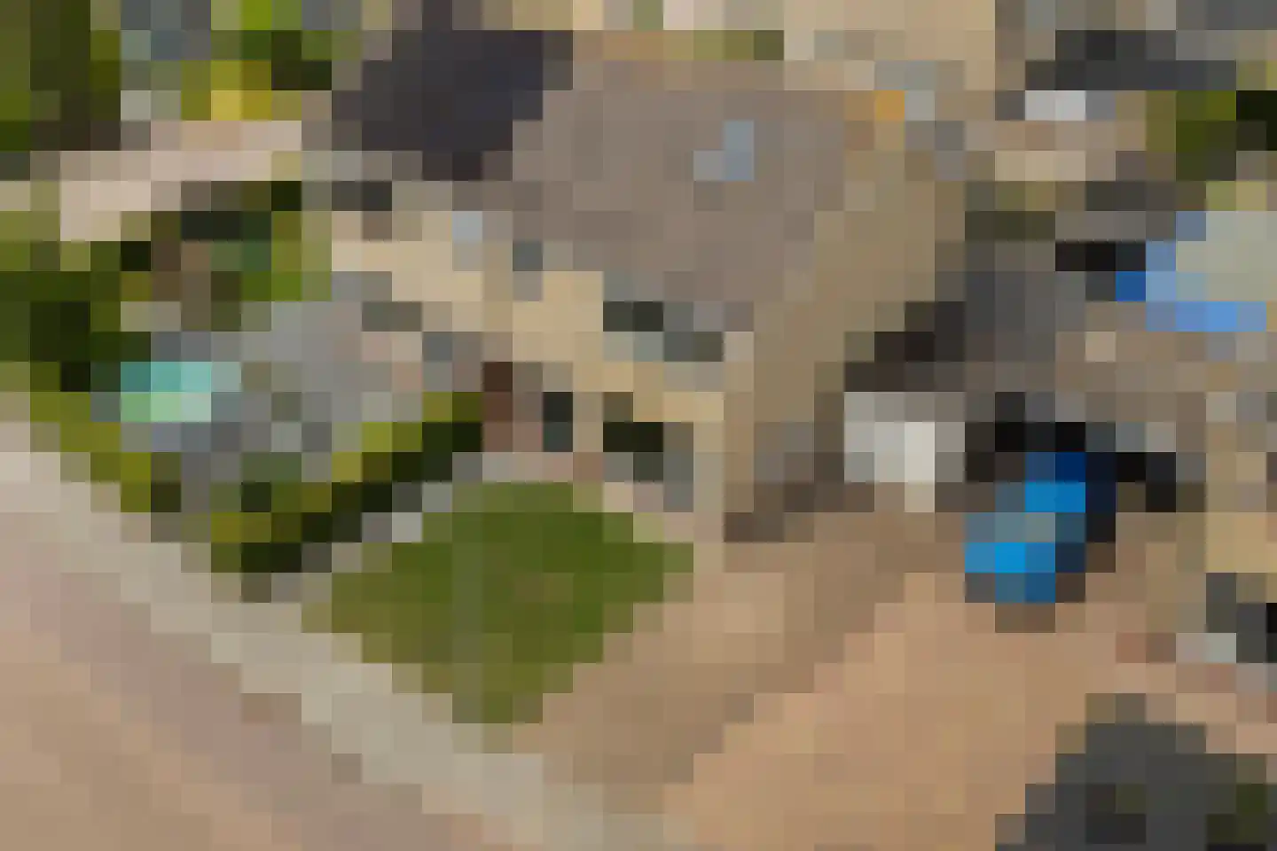 Graldasingel 6 Menaam thumbnail 41