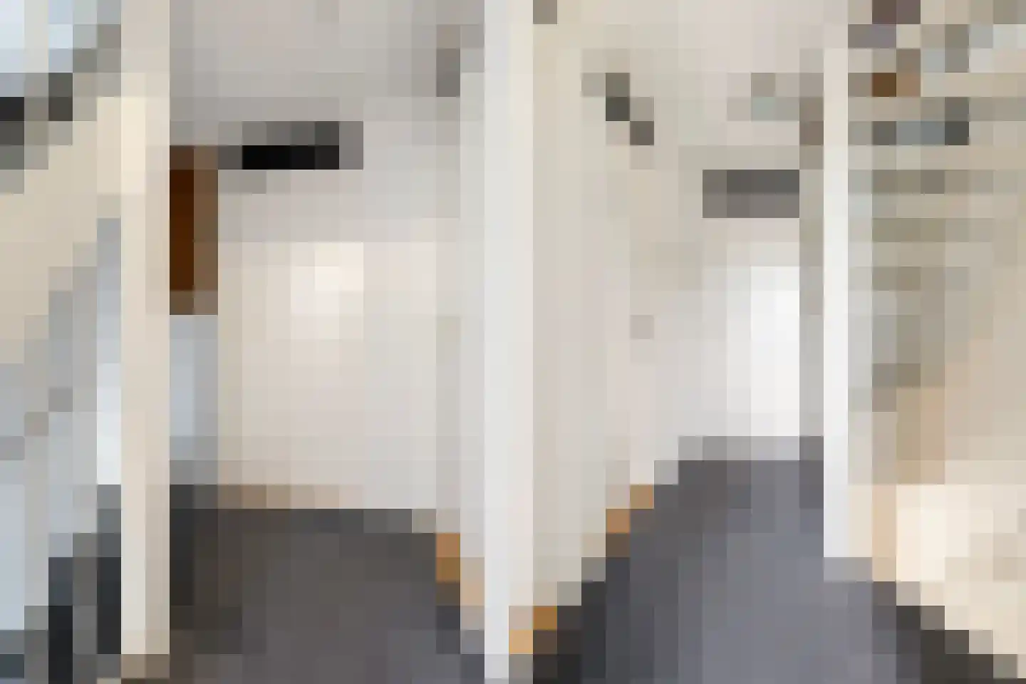 Graldastins 15 Stiens thumbnail 23