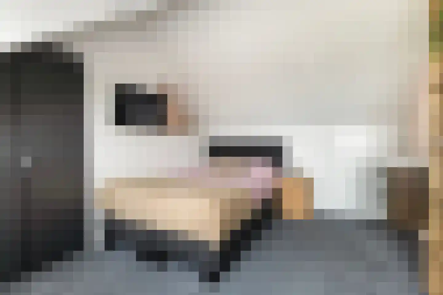 Graldastins 15 Stiens thumbnail 26