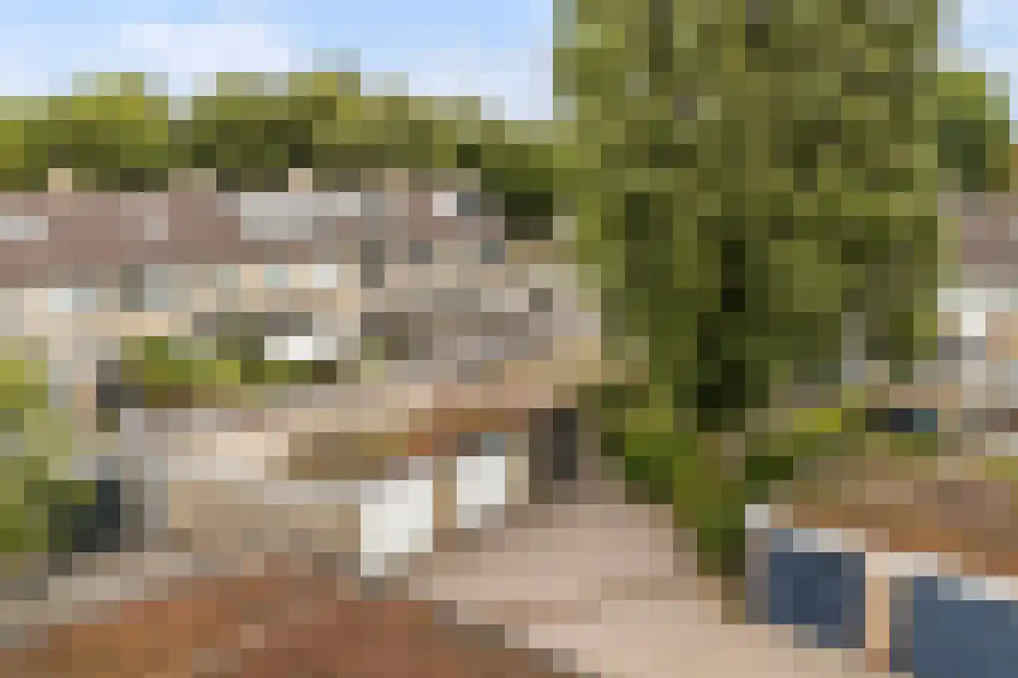 Graldastins 15 Stiens thumbnail 40