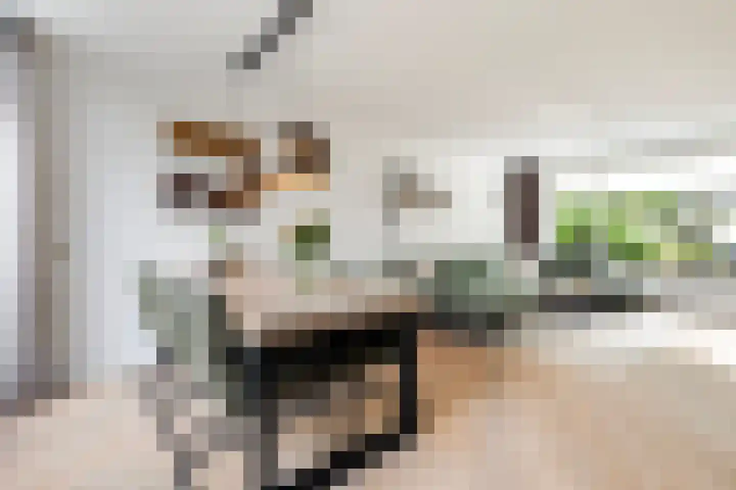 Graldastins 15 Stiens thumbnail 7