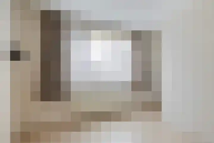 Graldastins 47 Stiens thumbnail 16